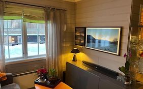 Koselig leilighet , med parkering og ski in &out.